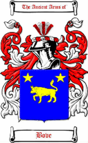 bovecoatofarms.jpg